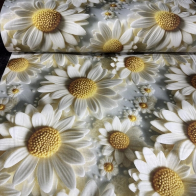 Тканина Ранфорс 5D