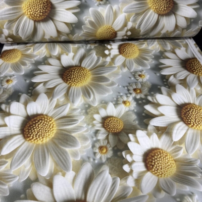 Постільна білизна 5D з ранфорсу D4021